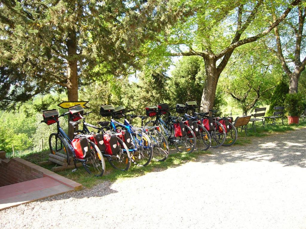 Fattoria Pieve A Salti Villa Buonconvento Exteriör bild
