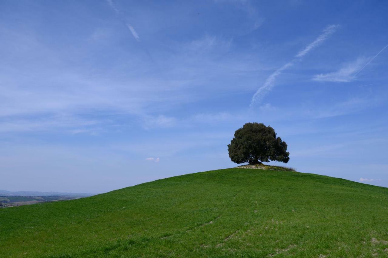 Fattoria Pieve A Salti Villa Buonconvento Exteriör bild