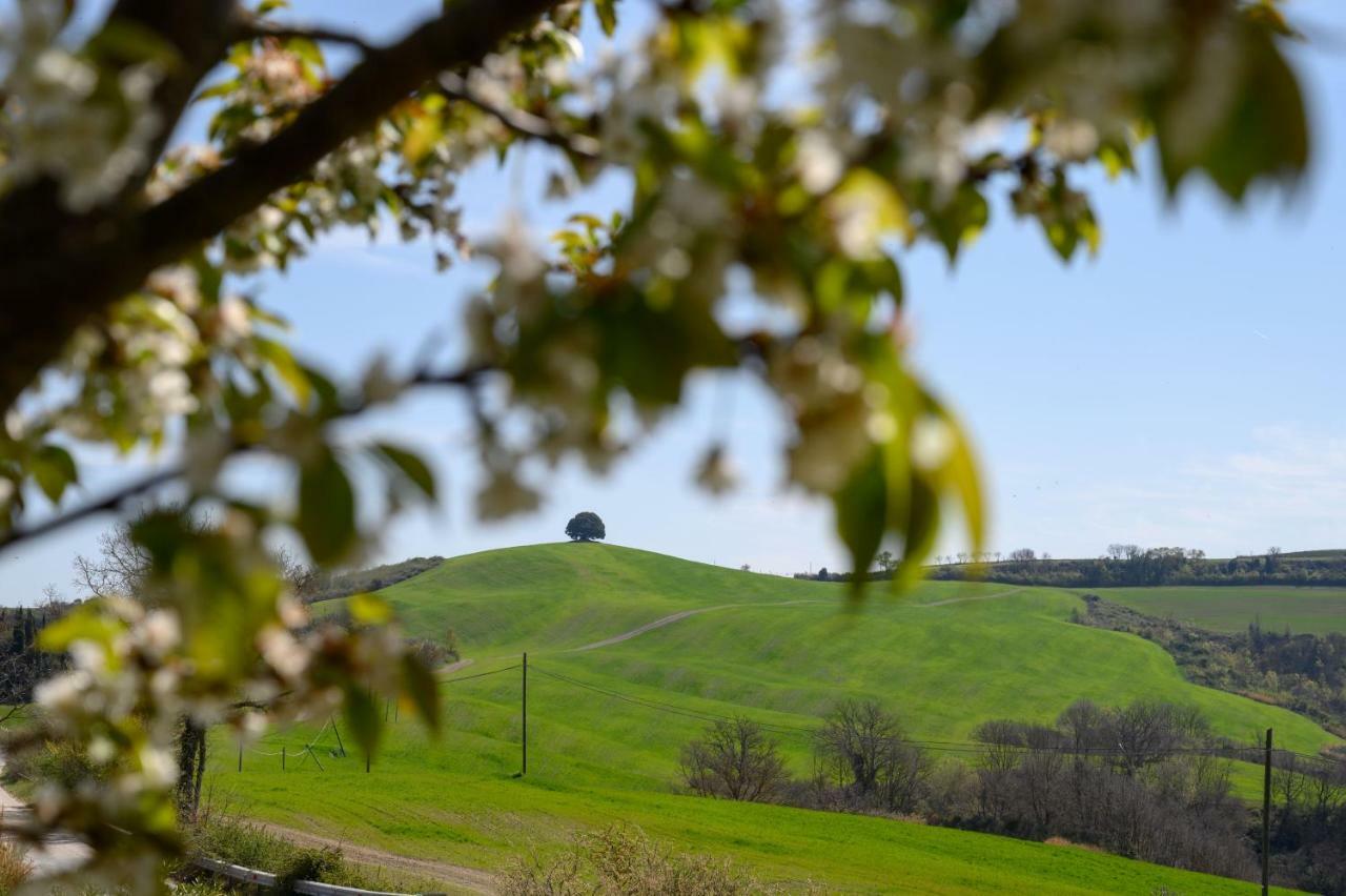 Fattoria Pieve A Salti Villa Buonconvento Exteriör bild